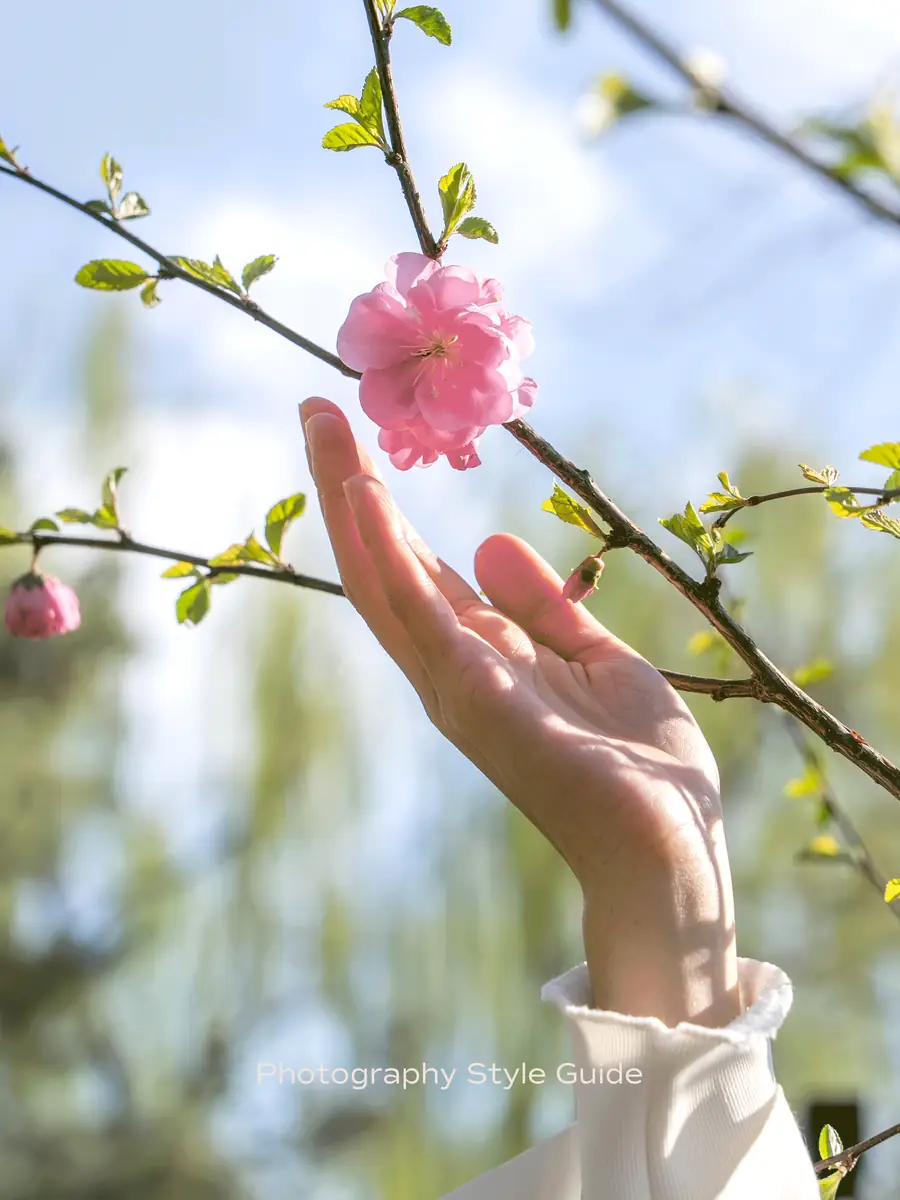 Animated Circle of Light photography style guide cycling through nature imagery: a hand reaching toward a pink blossom and fingertips brushing tall grass